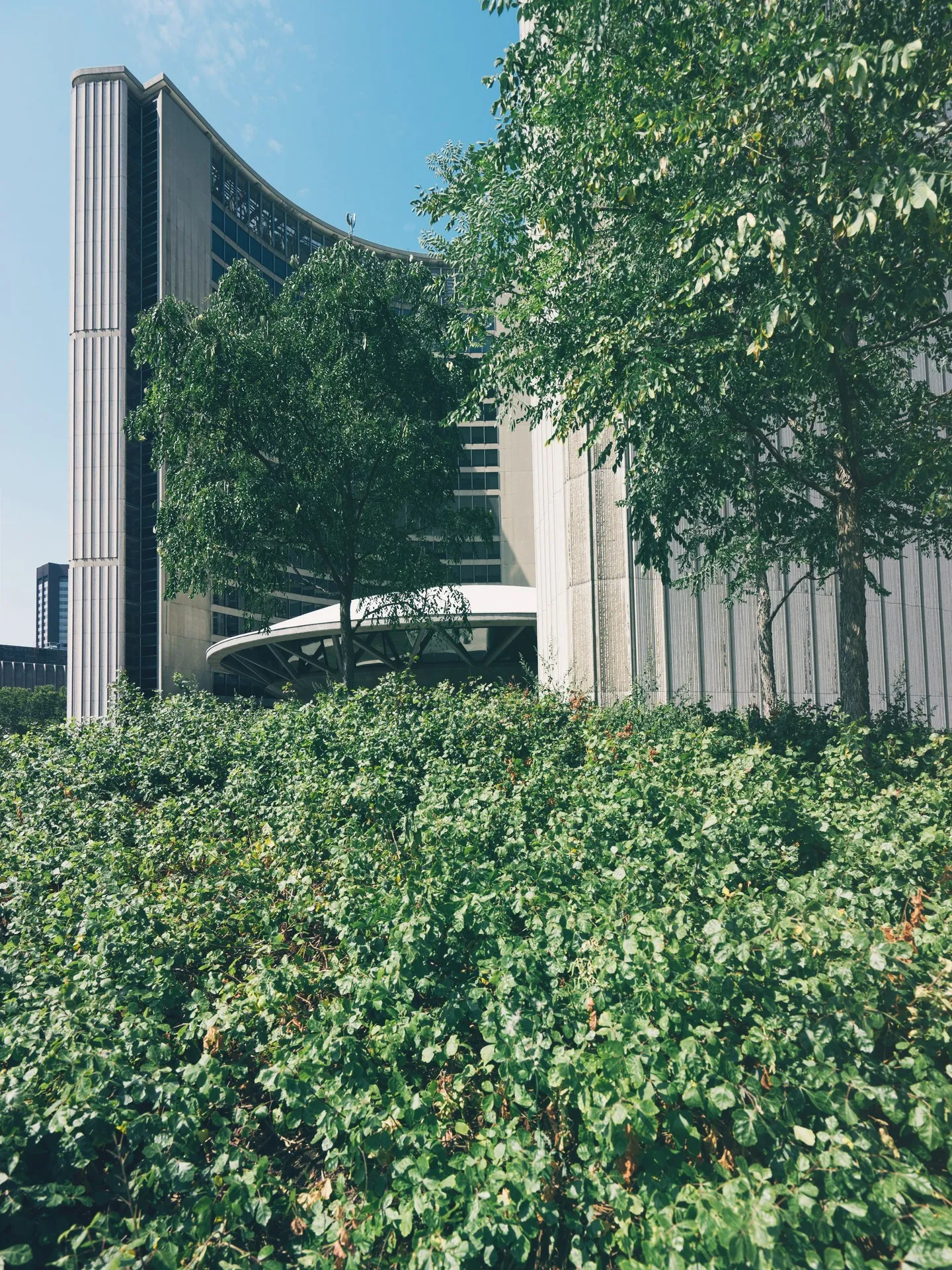 Geschnittene Hecke vor einer modernen Gebäudefassade
