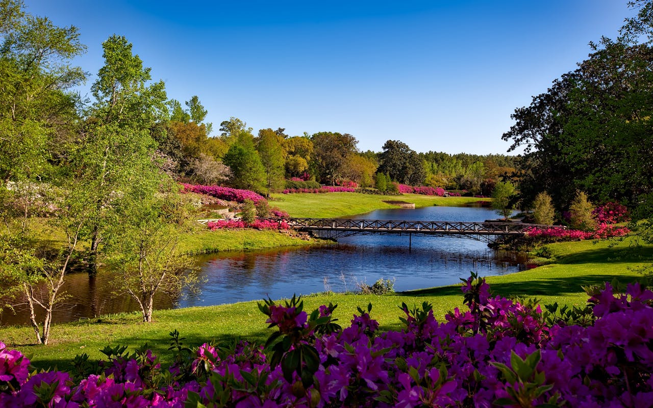 A beautiful spring garden landscape featuring vibrant pink flowers, a serene river, and a picturesque bridge.