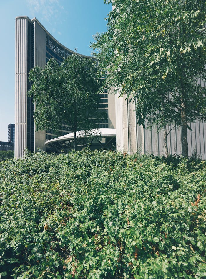 A stunning blend of urban architecture and green landscaping during the day.